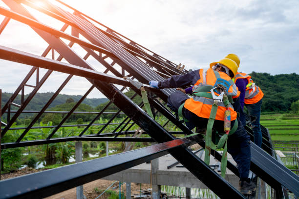 Best Commercial Roofing Services  in Franklin Grove, IL