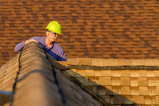 Best Local Roofing Companies  in Franklin Grove, IL
